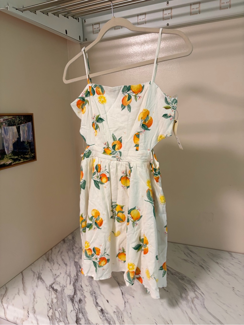 NWT Francesca's Mi Ami Citrus Fruit Side-Cutout Dress